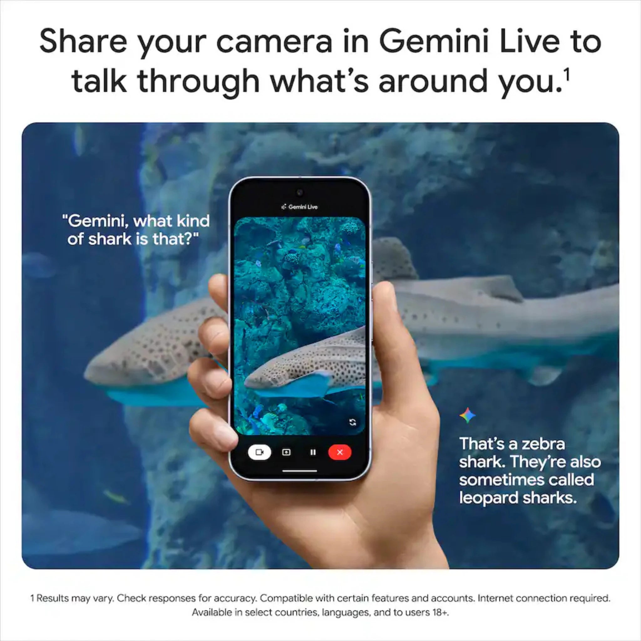 Pixel 10 Pro XL - THE LUX MOBILE